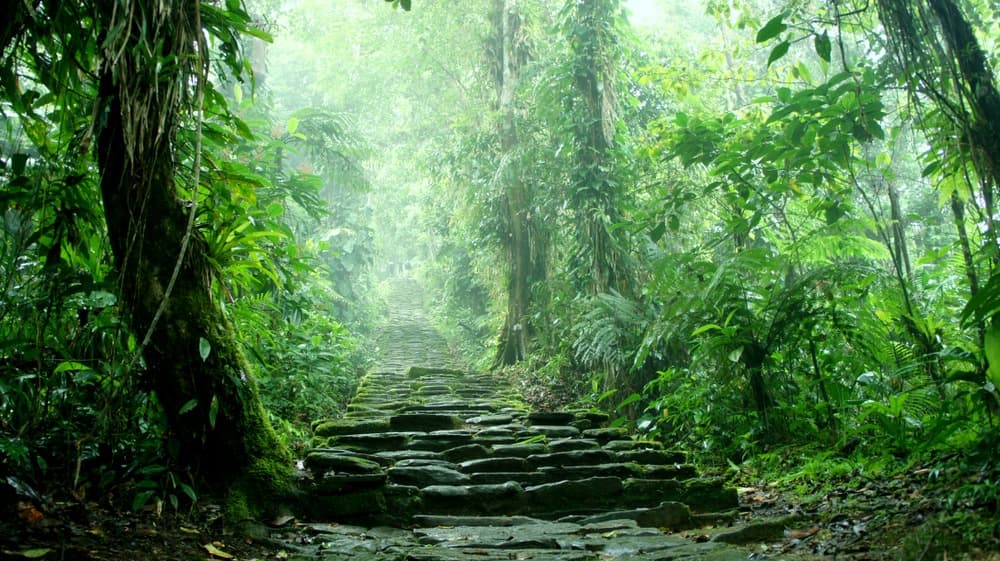 Le grand périple colombien