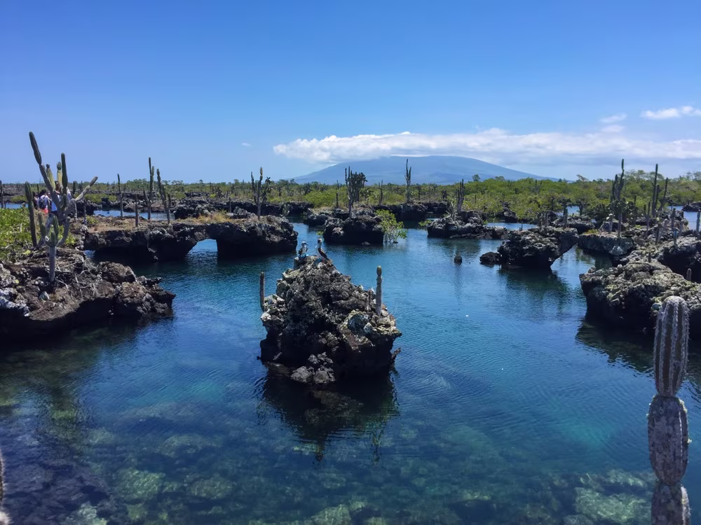 Escape and freedom in the Galápagos 8 days
