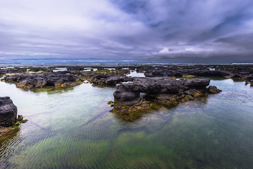 Galápagos in Freedom