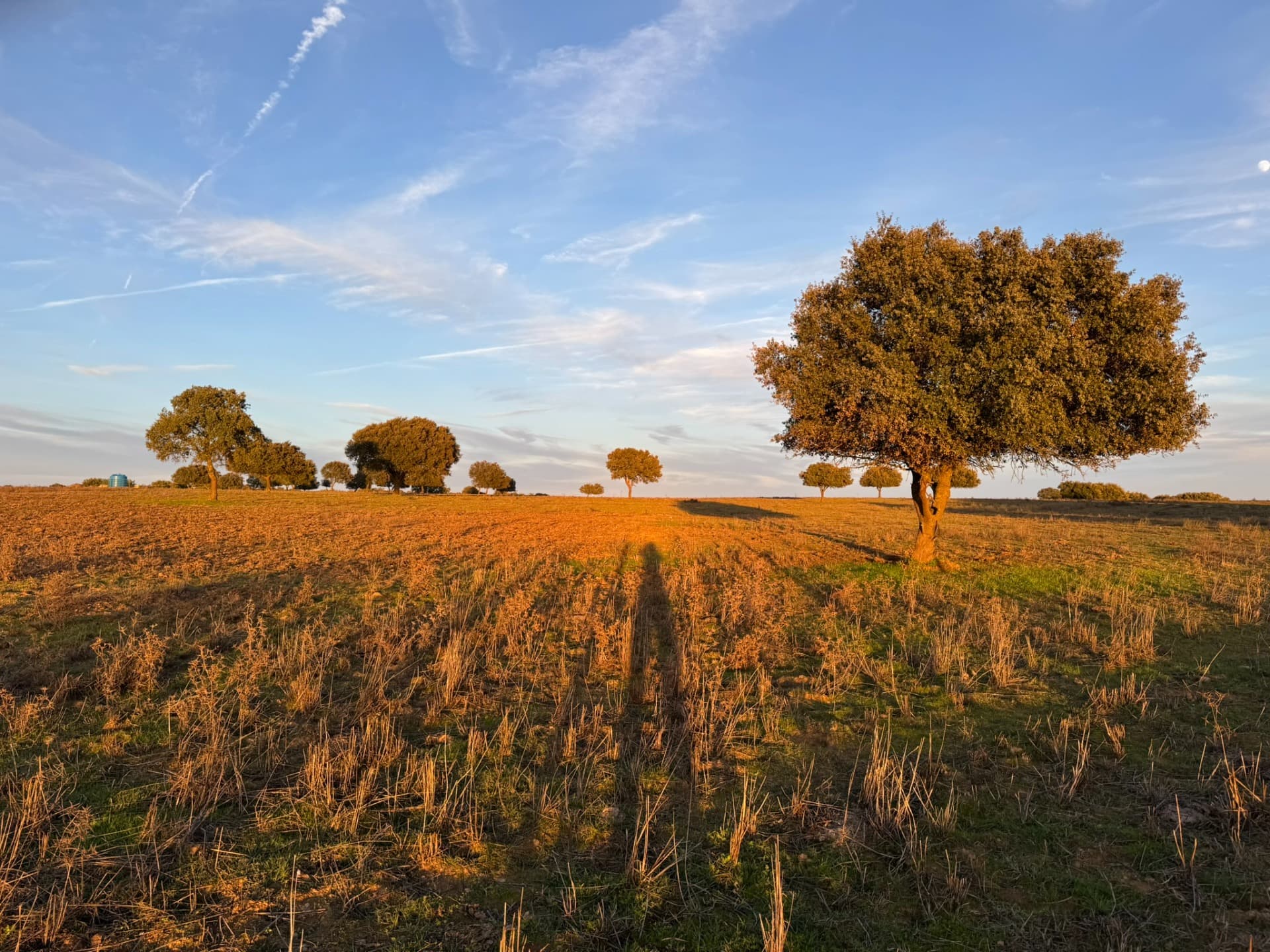Getaway in Alentejo: villages, vineyards and heritage