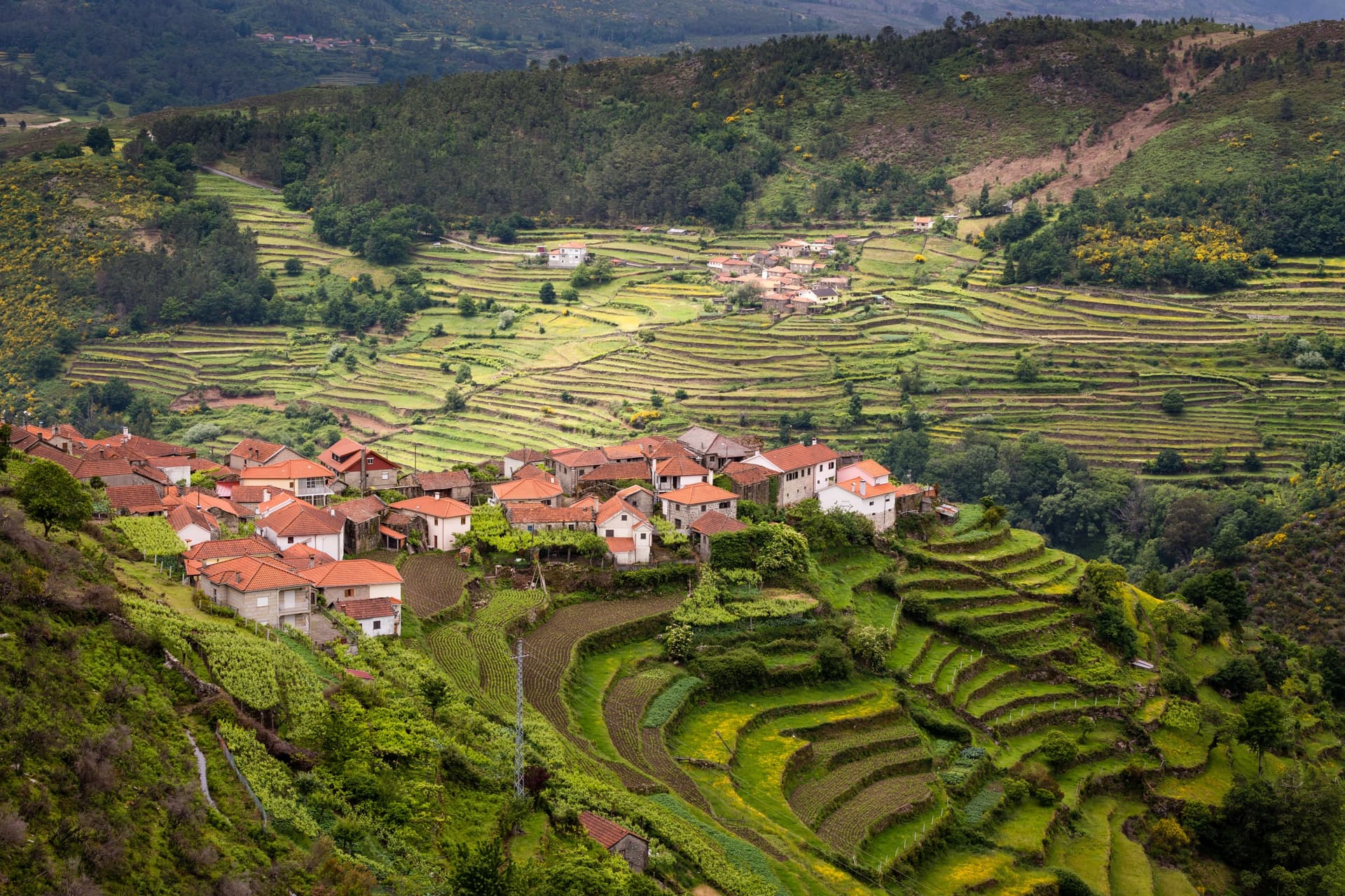 Authentic Portugal: traditions of the North and Centre