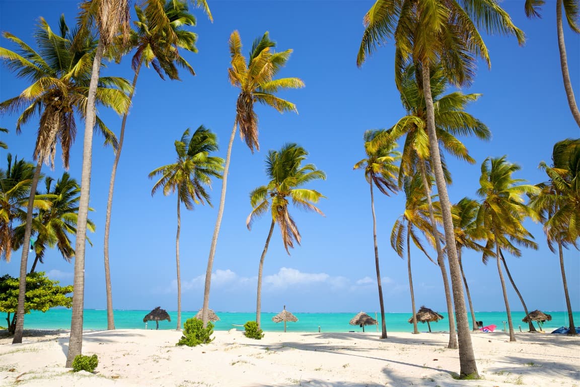 Jour 6
