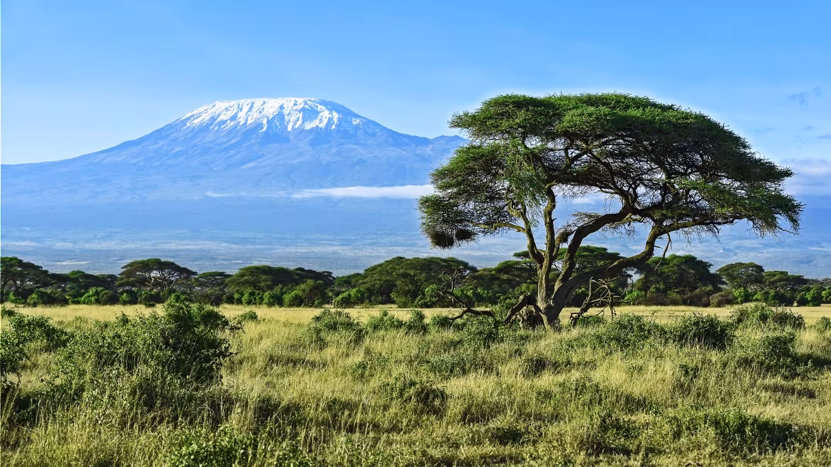 Machame Route: 6 days / 5 nights in the mountain