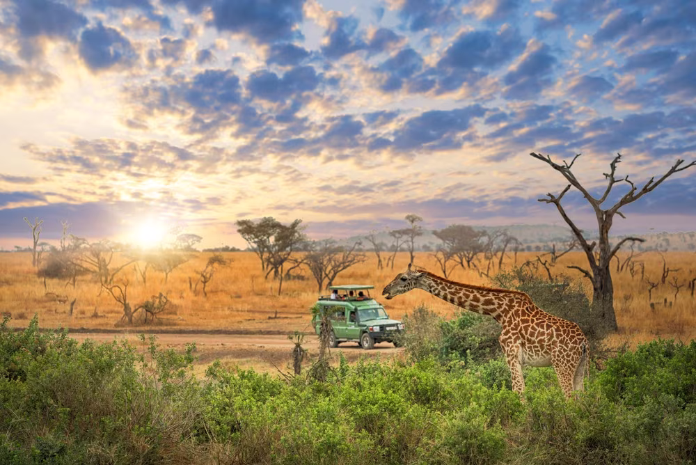 Essential of Tanzania