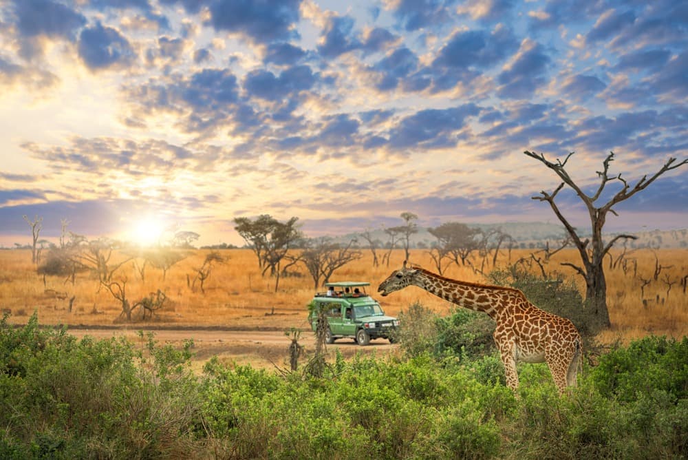 Essentiel de la Tanzanie