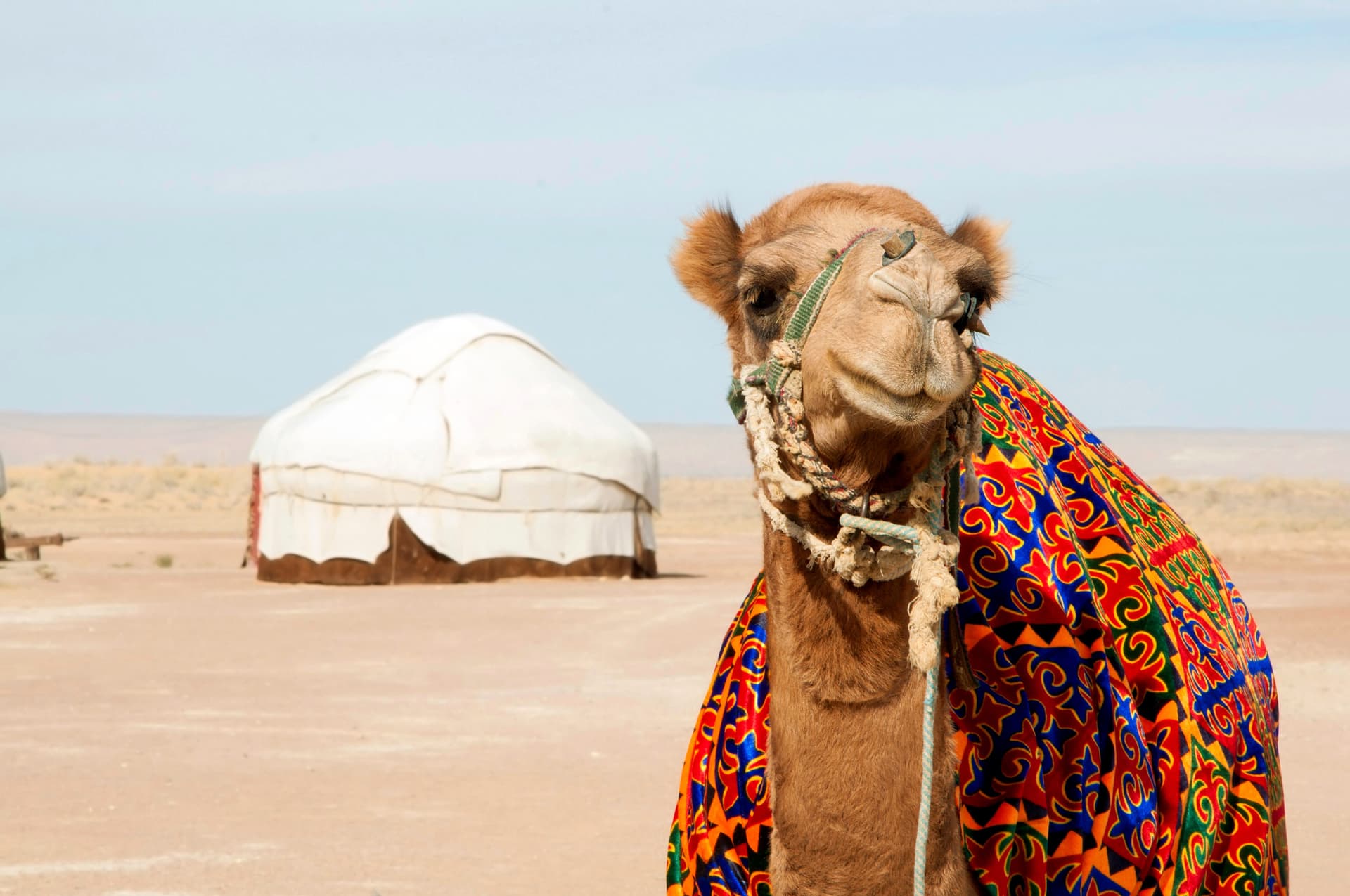 The Wonders of the Silk Road: Uzbekistan and Kyrgyzstan