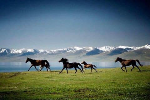 Wonders of Kyrgyzstan