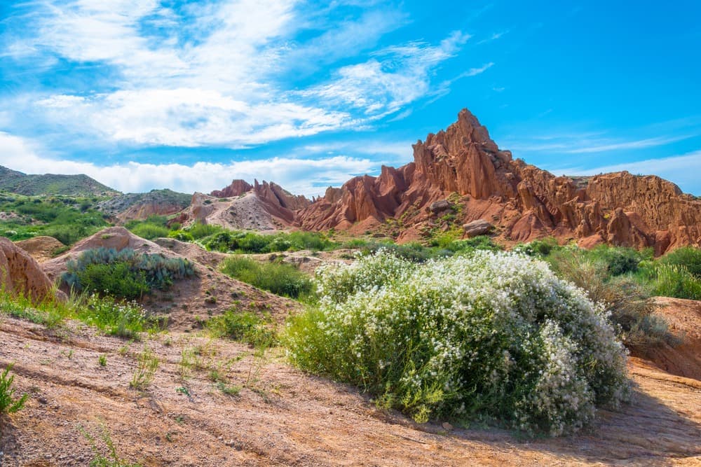 Fragrance of Kyrgyzstan