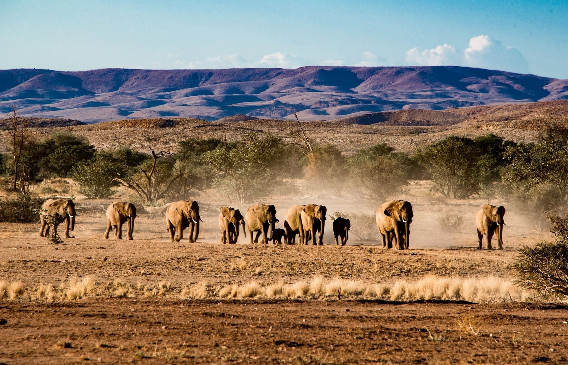Namibia by Private 4x4 — Comfort