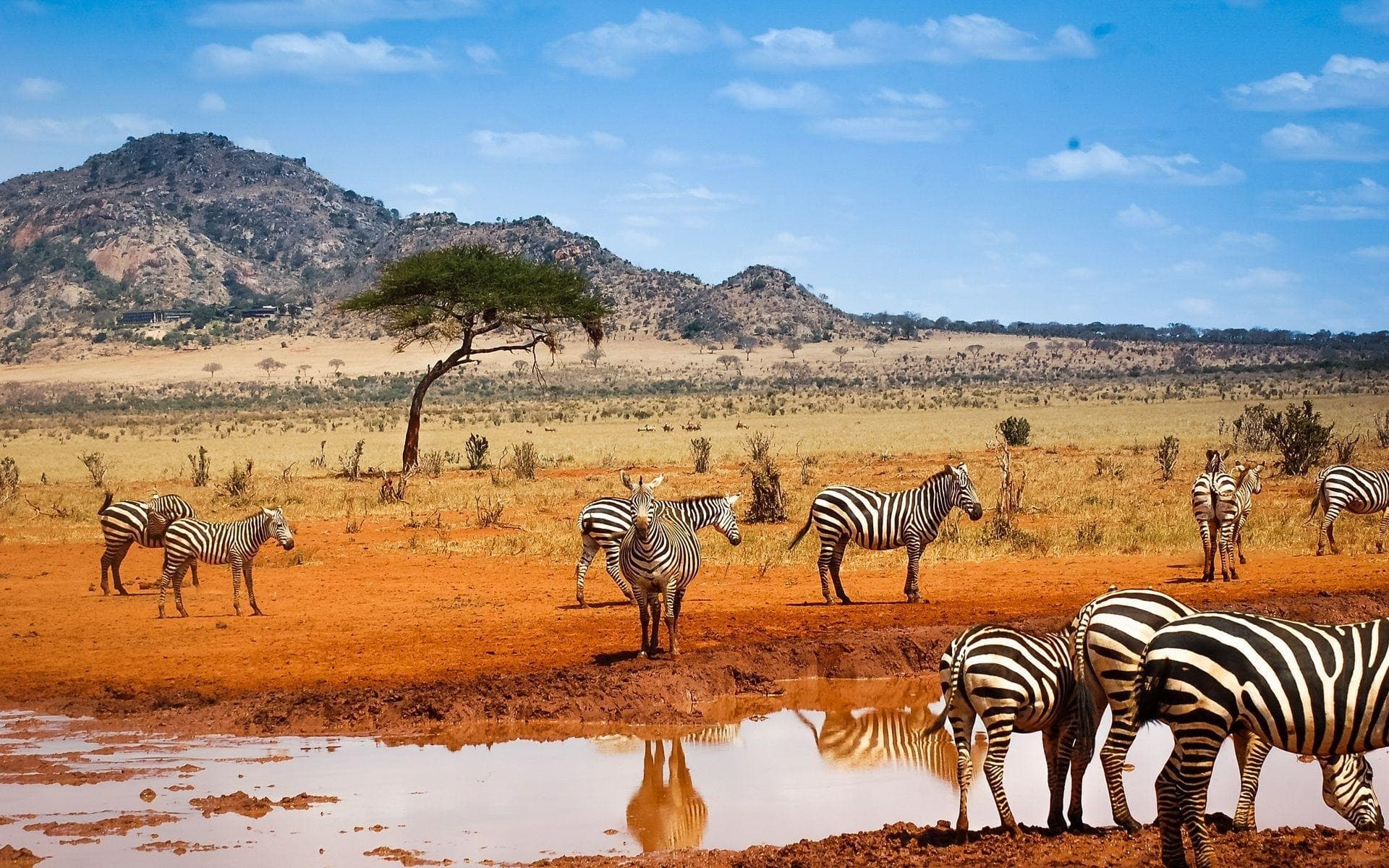 Namibia in private 4x4 — Luxury