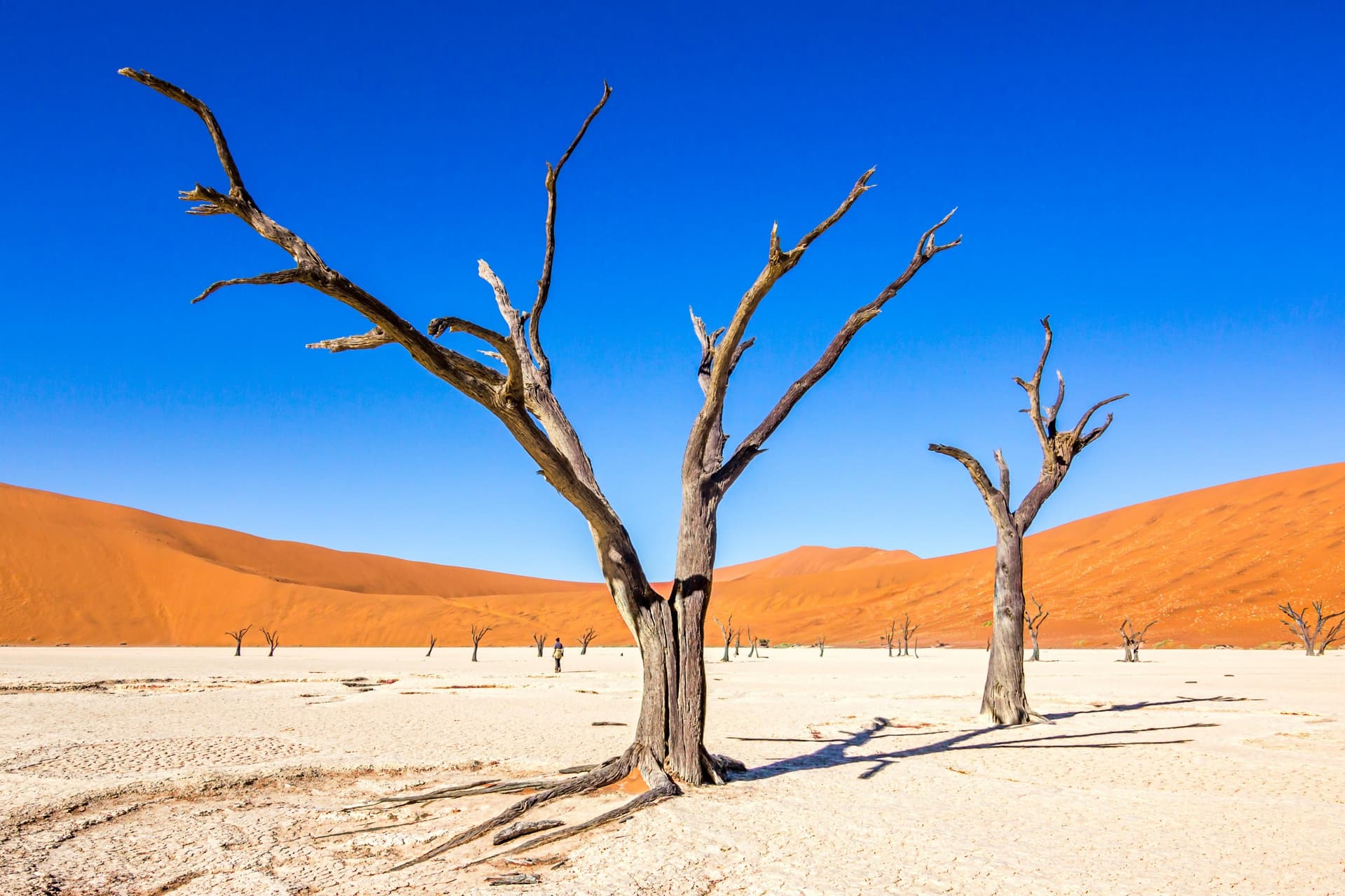 Sossusvlei
