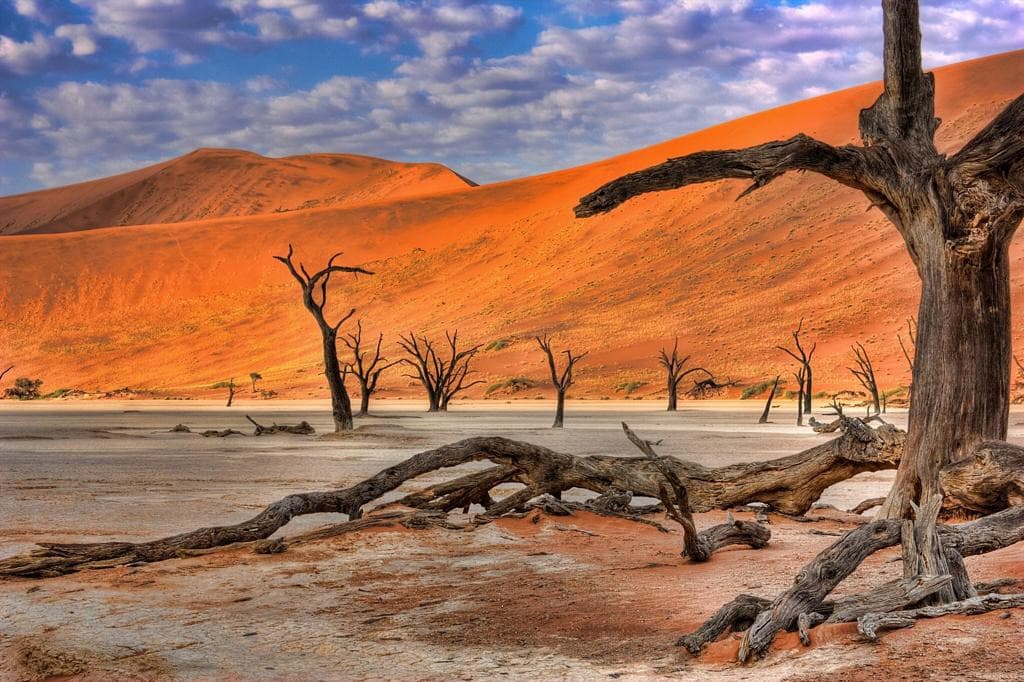 Windhoek / Namib Desert