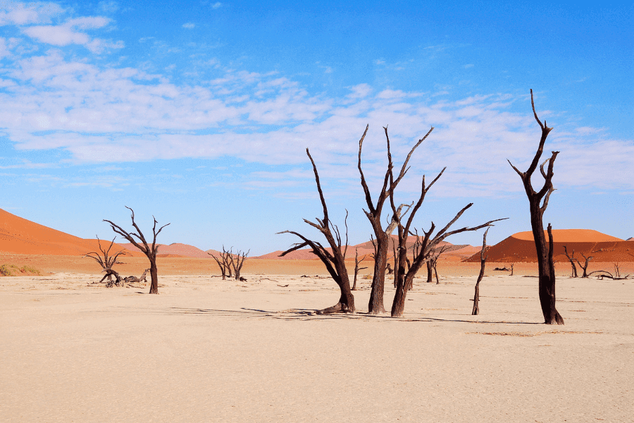 Namib Desert