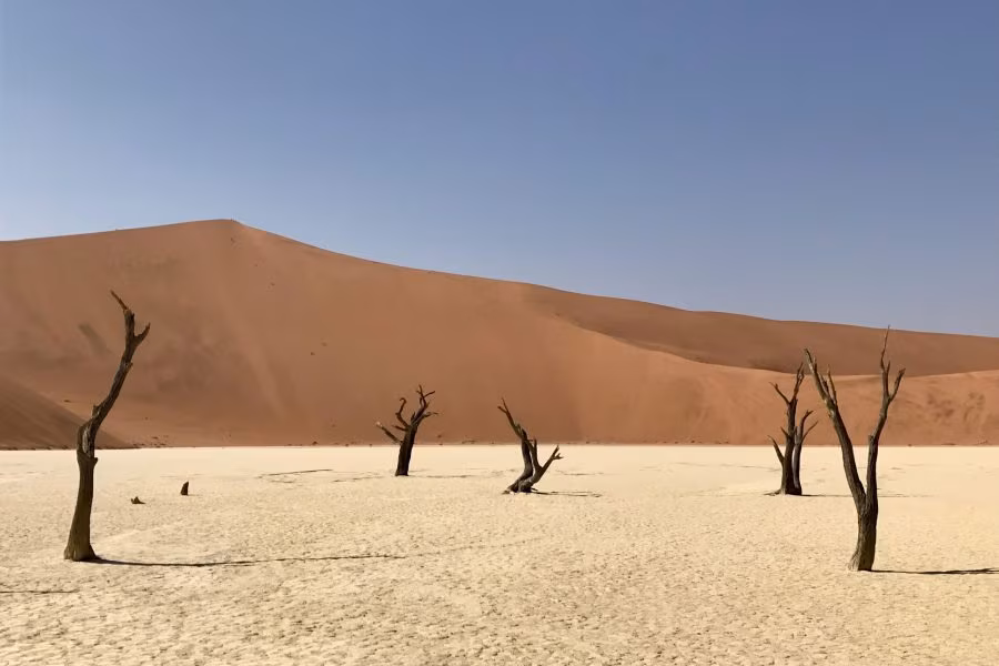 Authentic Namibia