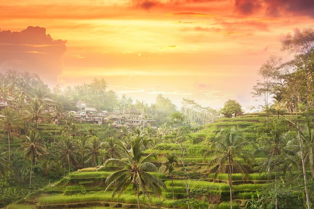 In the Heart of Bali - 7 Days