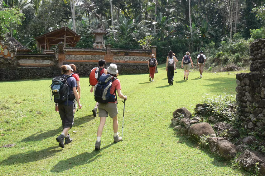 Balinese stroll & Komodo dragons