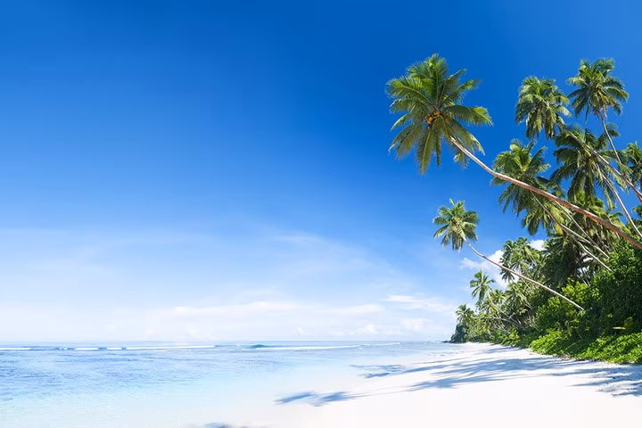 Sulawesi Centre: Extension to the Togian Islands