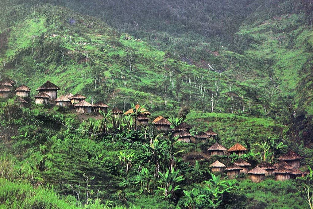Papua: Immersion with the Yali