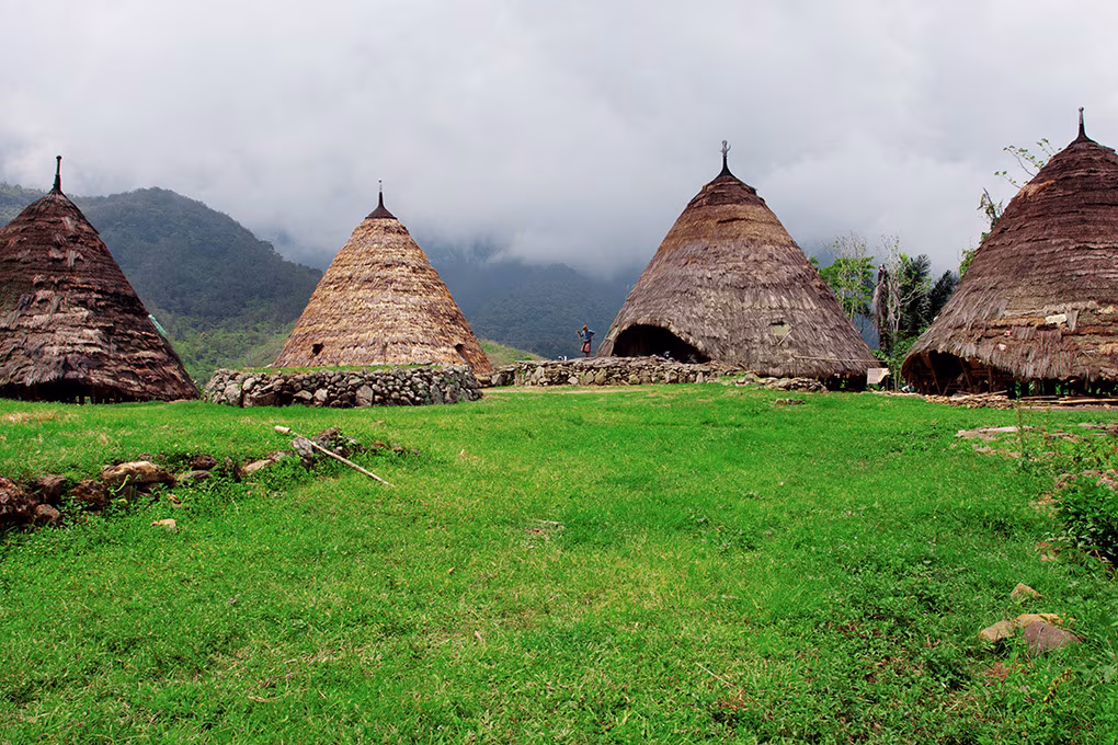 Immersion in Flores & Komodo