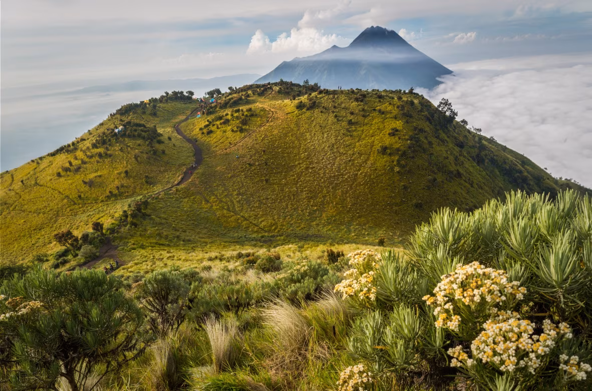 Merbabu: climbing the "mountain of ashes"