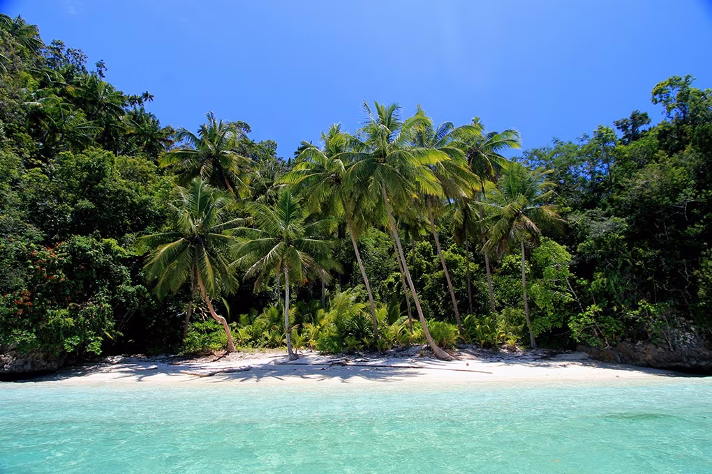 Wonderful Raja Ampat
