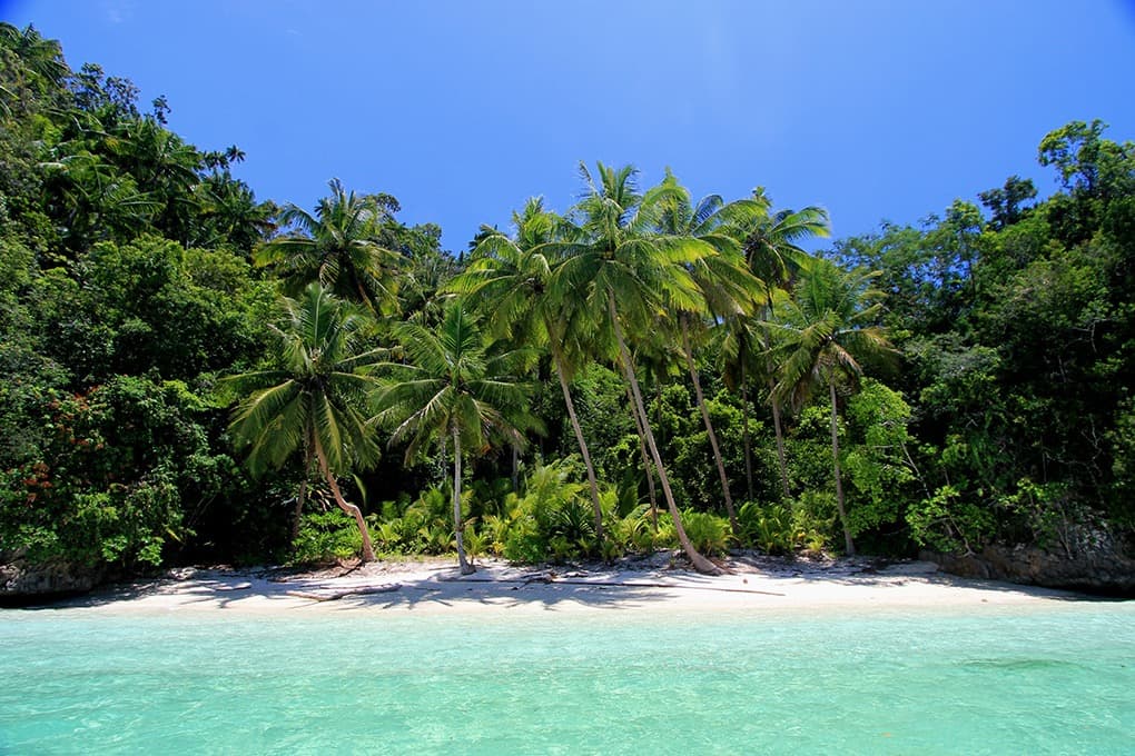 Wonderful Raja Ampat