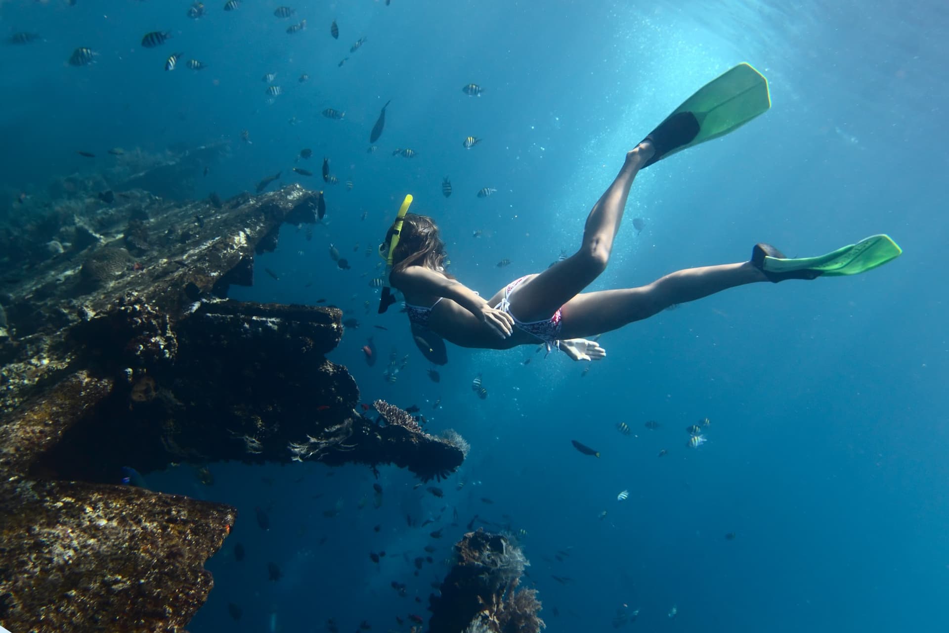 Diving & Snorkeling in Tulamben / Amed