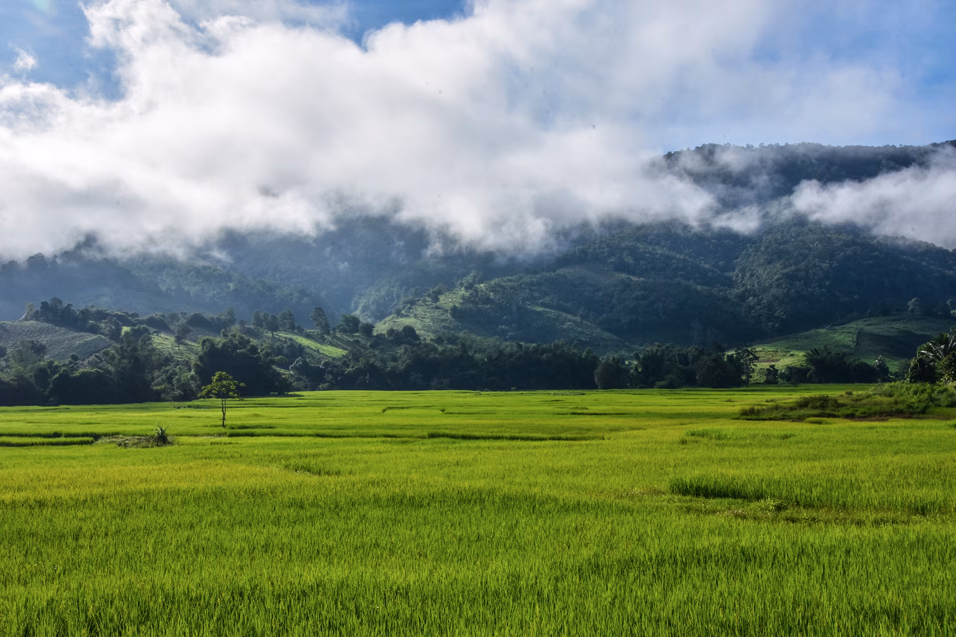 Sulawesi: immersion in Toraja country