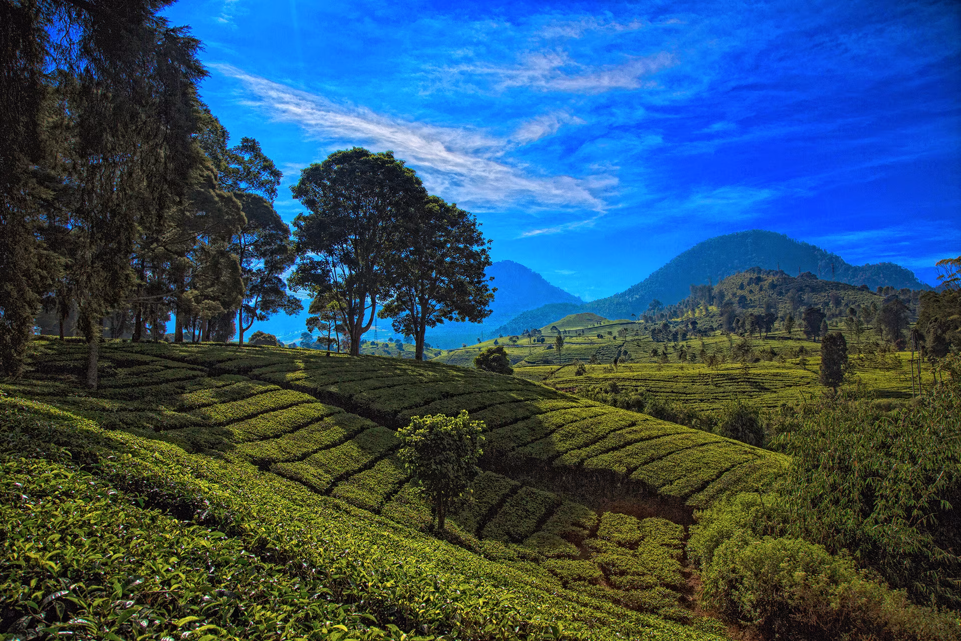 All the beauty of Java, the island with a thousand faces (21-day version)