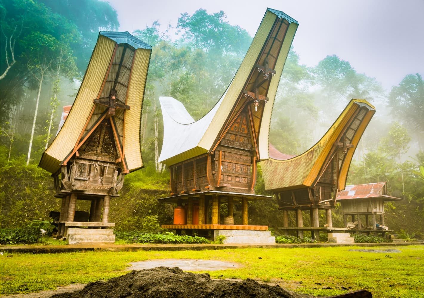 Trek and immersion among the Toraja
