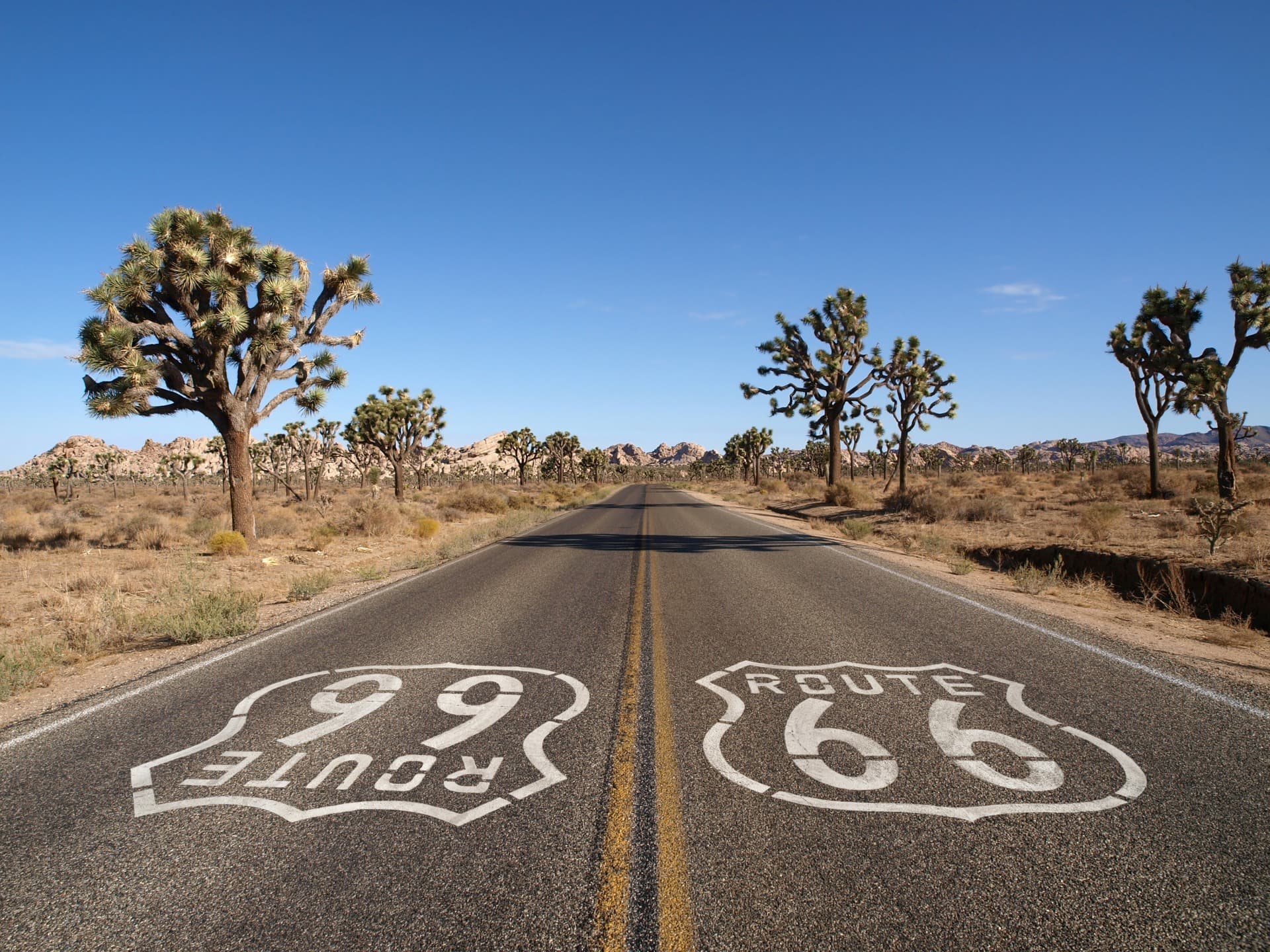 The Legendary Route 66