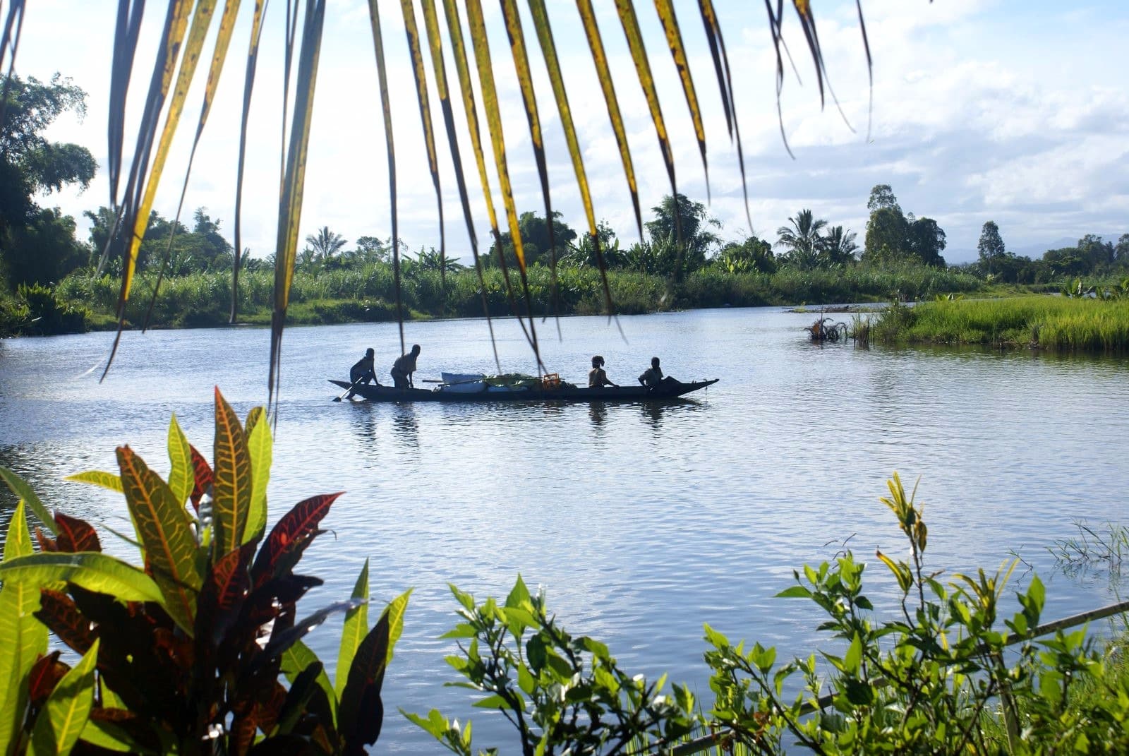 Channels and Lushness of Eastern Madagascar
