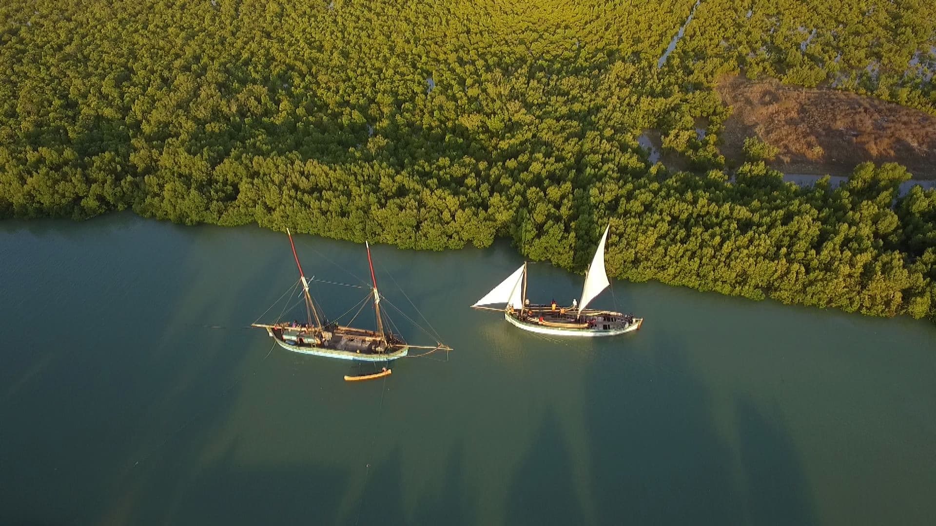 Migratory cruise from Morondava to Majunga