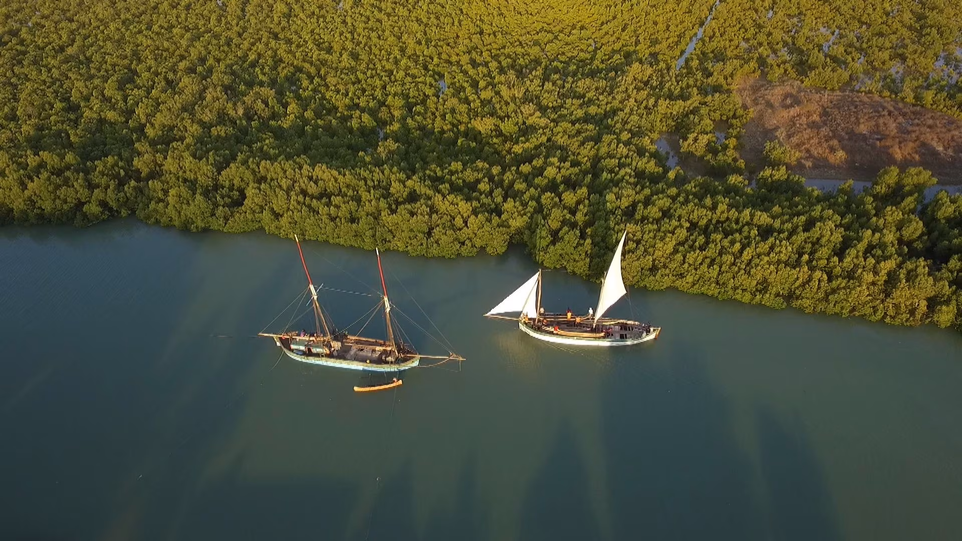Migratory cruise from Morondava to Majunga