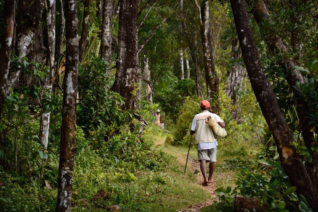 Exceptional Hikes at Cape Masoala
