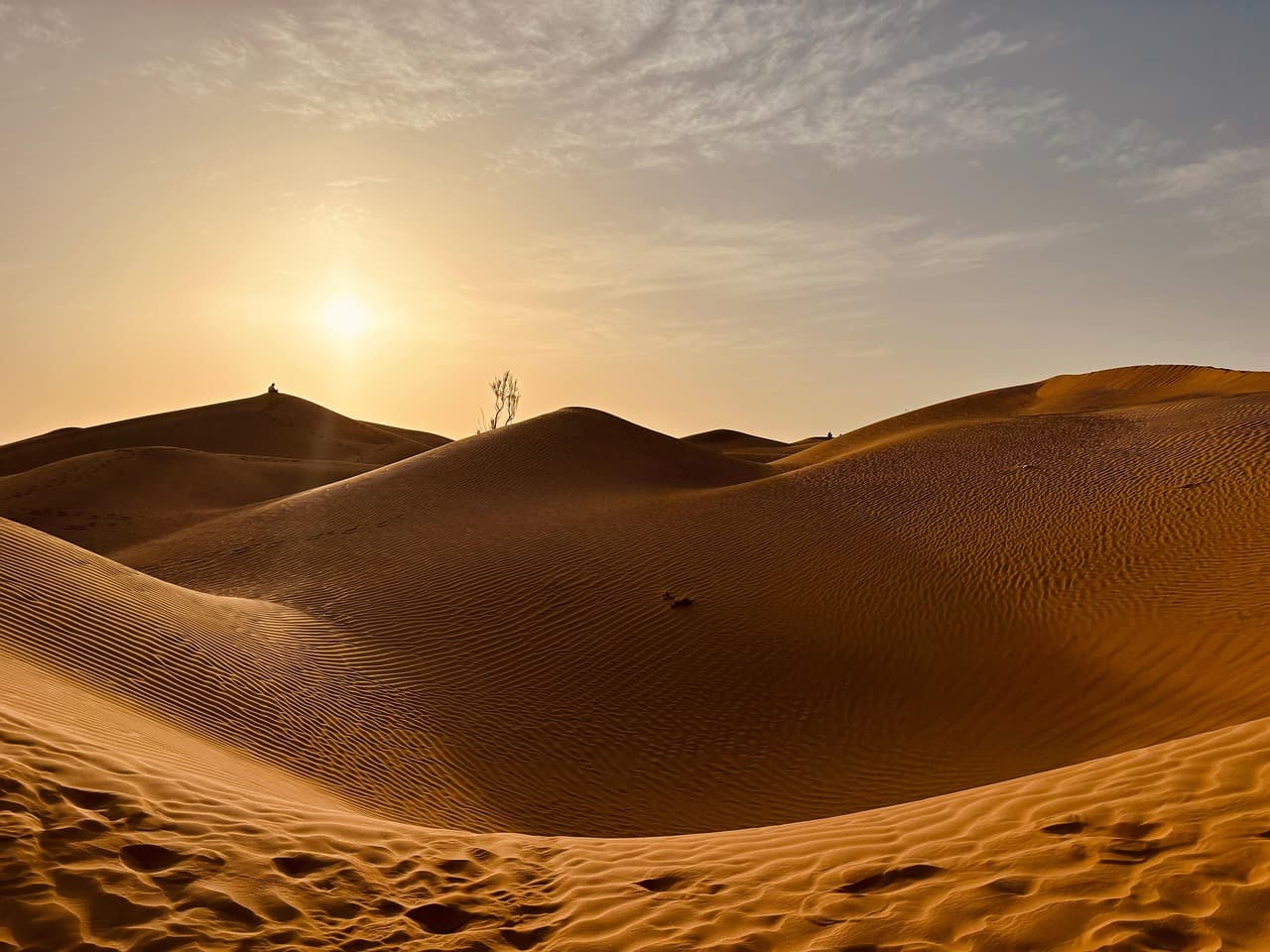 Jour 4