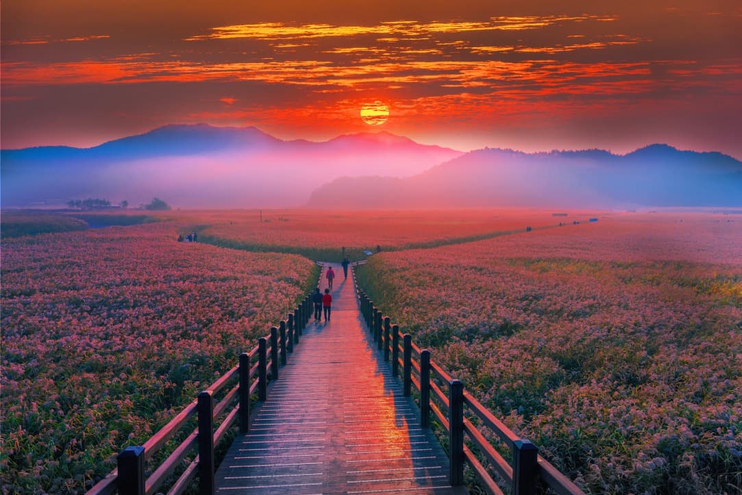 Jour 8