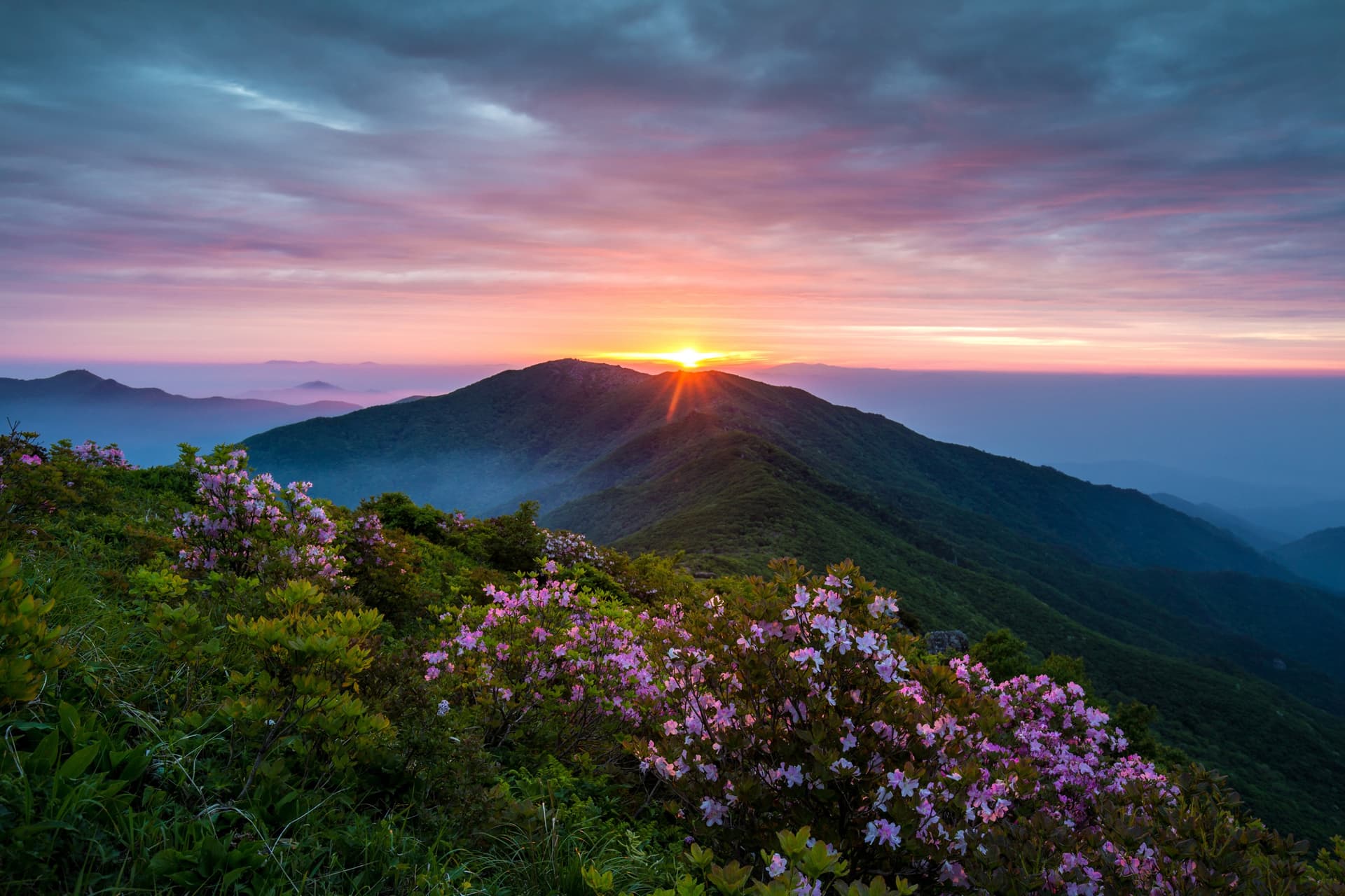 Self-drive tour Korea: East coast treasures between mountains and beaches
