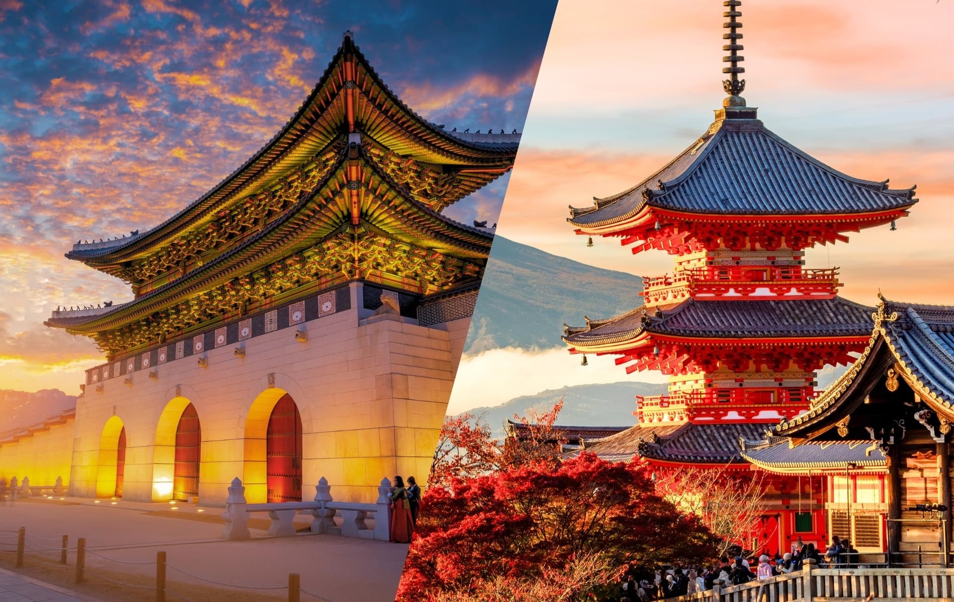 Combiné Corée Japon