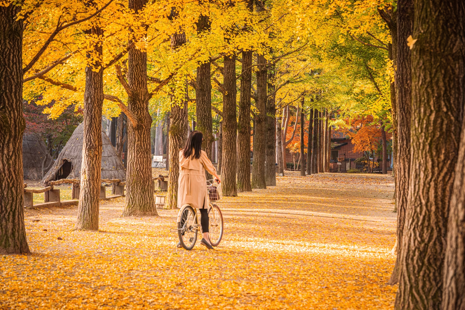 Autumn Colors in South Korea
