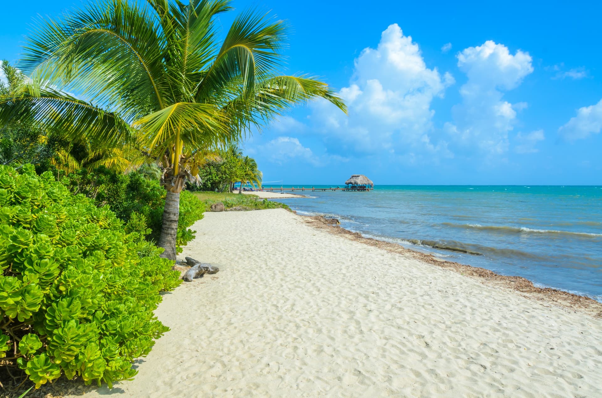 Family Circuit in Belize