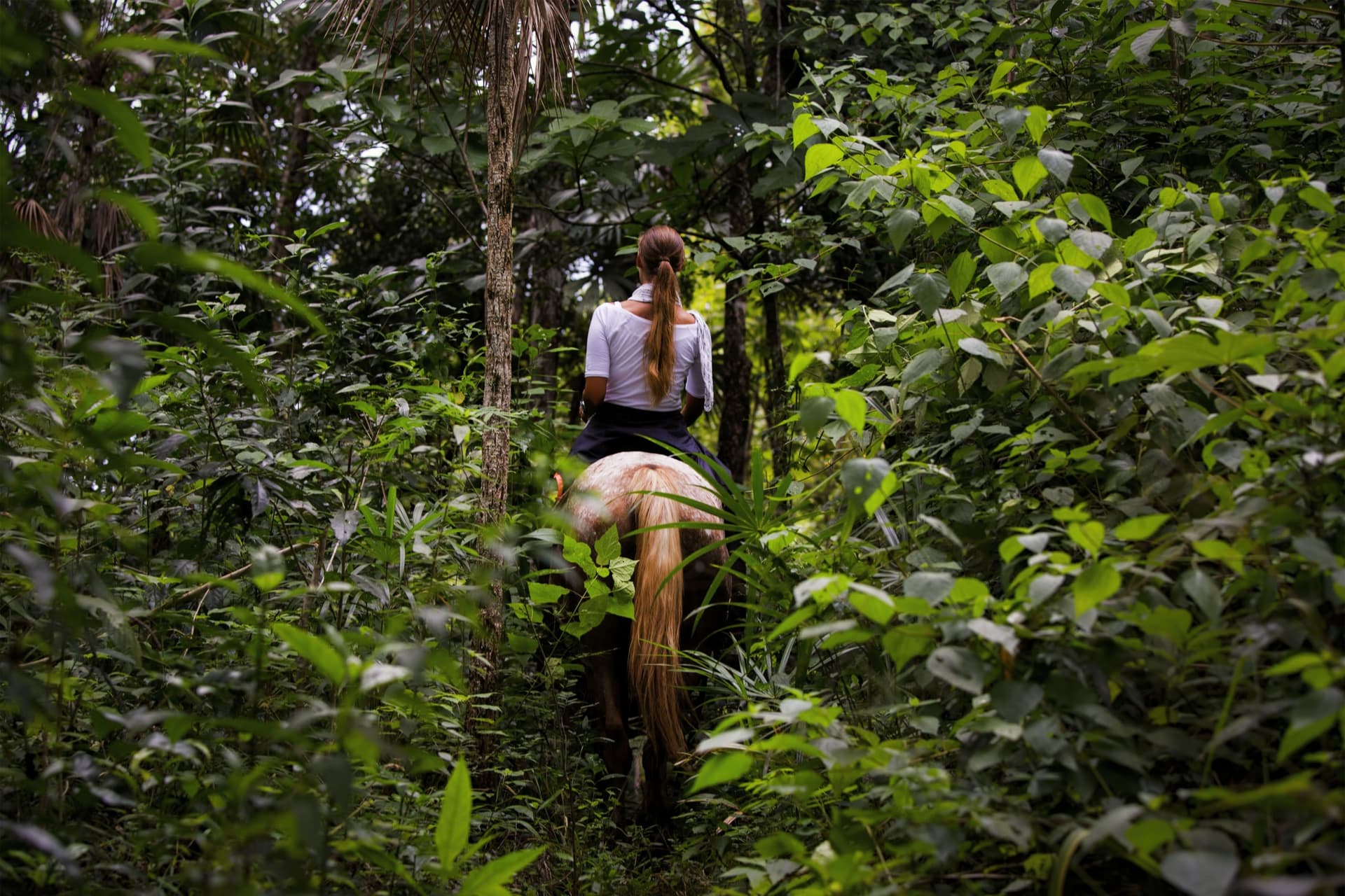 Off the beaten path, from North to South
