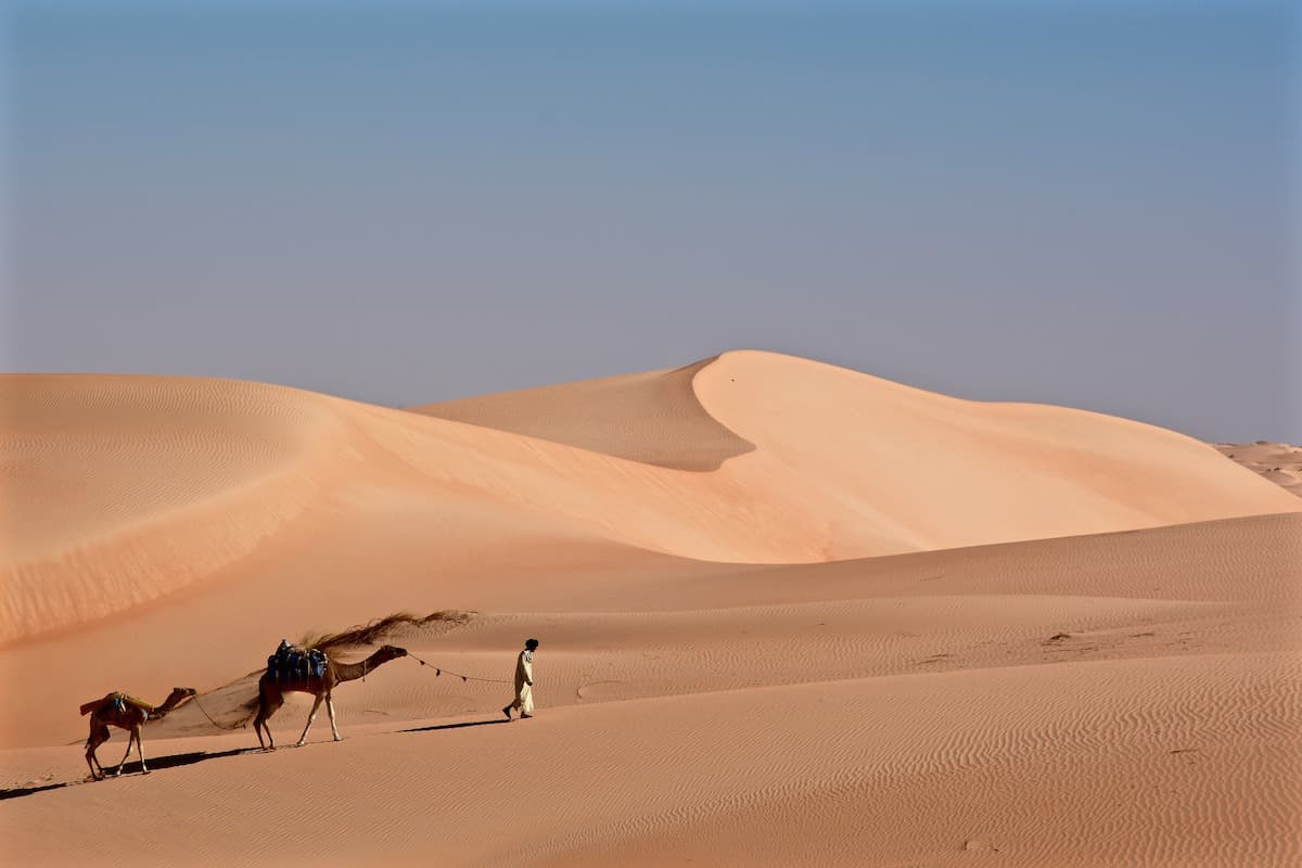 Erg Warane and Chinguetti, Variations in the Sands
