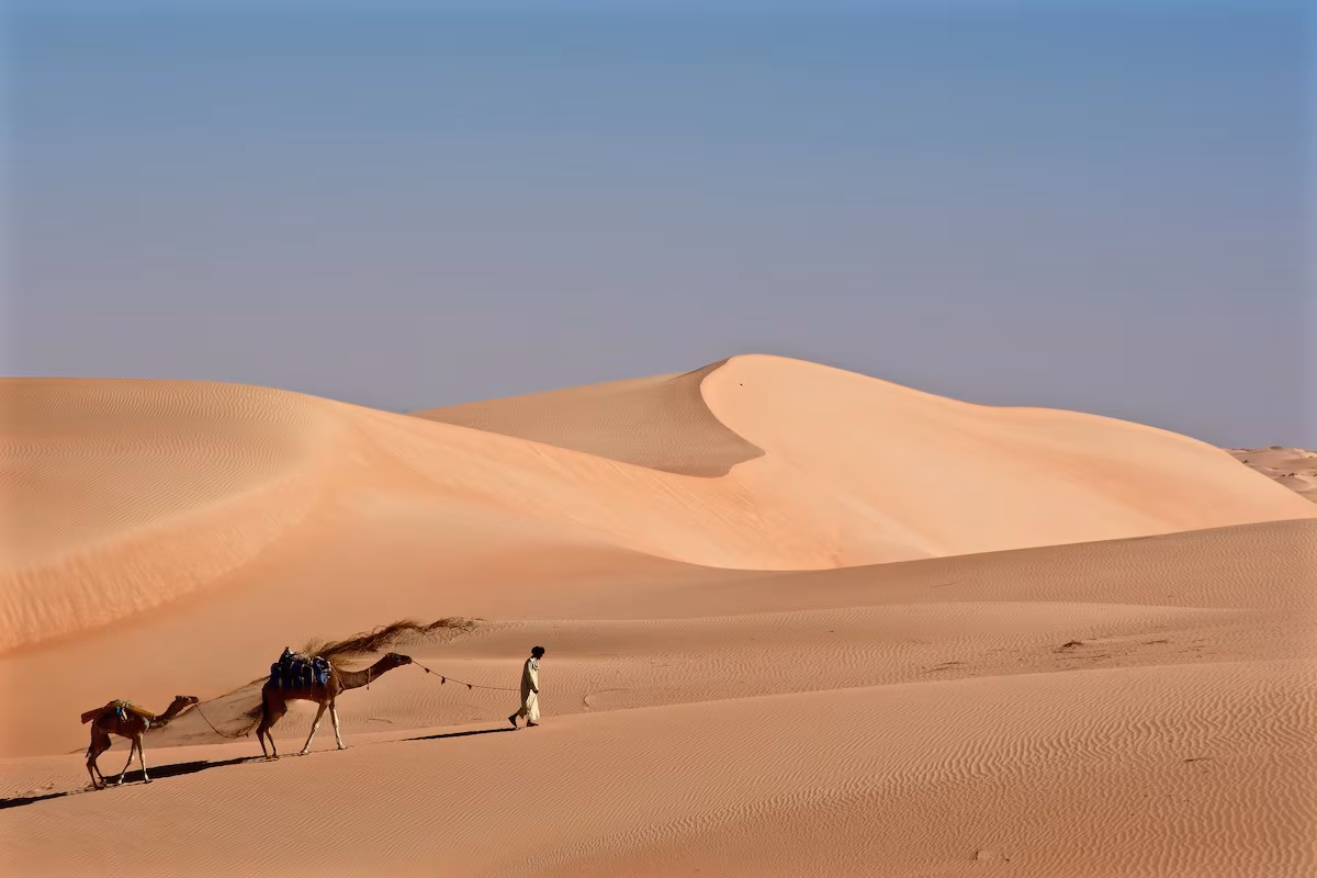 Erg Warane and Chinguetti, Variations in the Sands