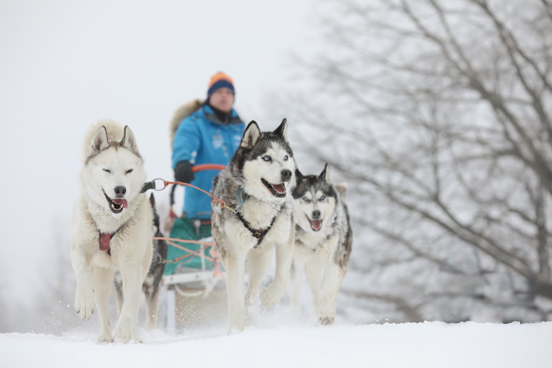 Aventures hivernales – Laurentides & Lanaudière en autotour