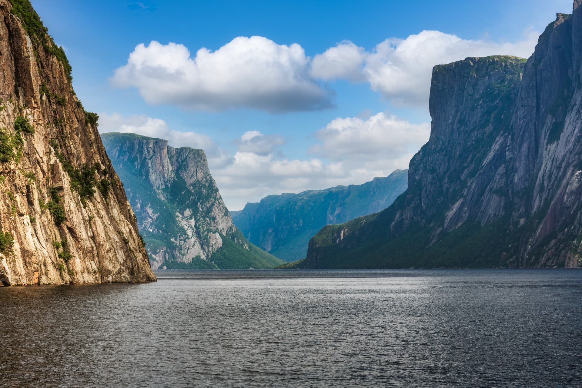 Mysterious Newfoundland