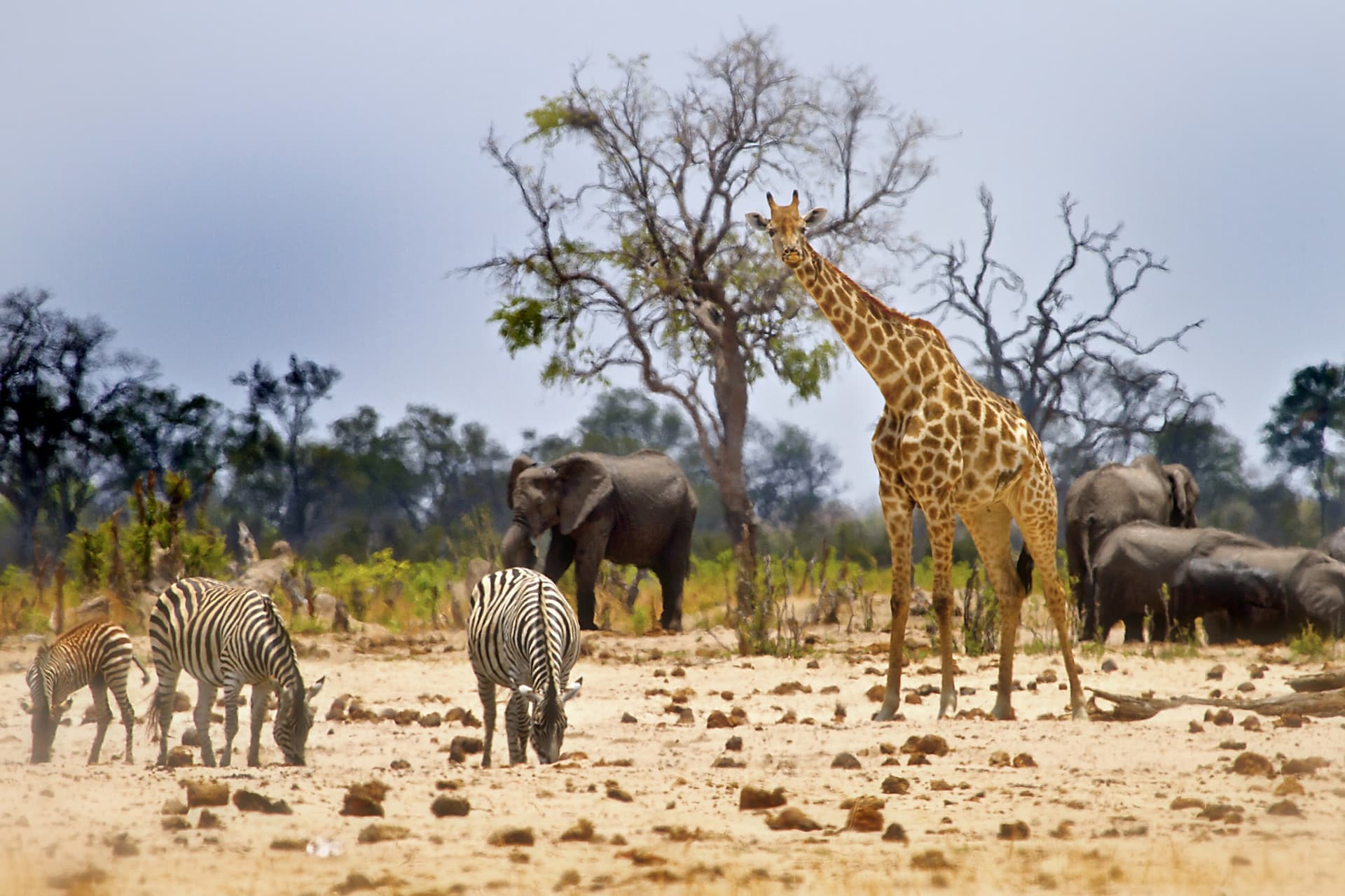 Zimbabwe as a family: Nature, safaris and cultural discoveries