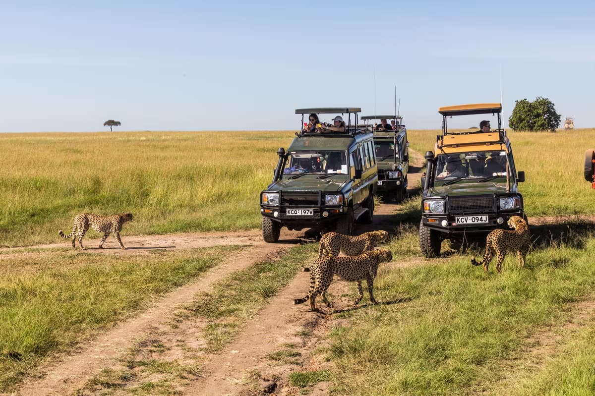 Safari in Maasai Country and Beach