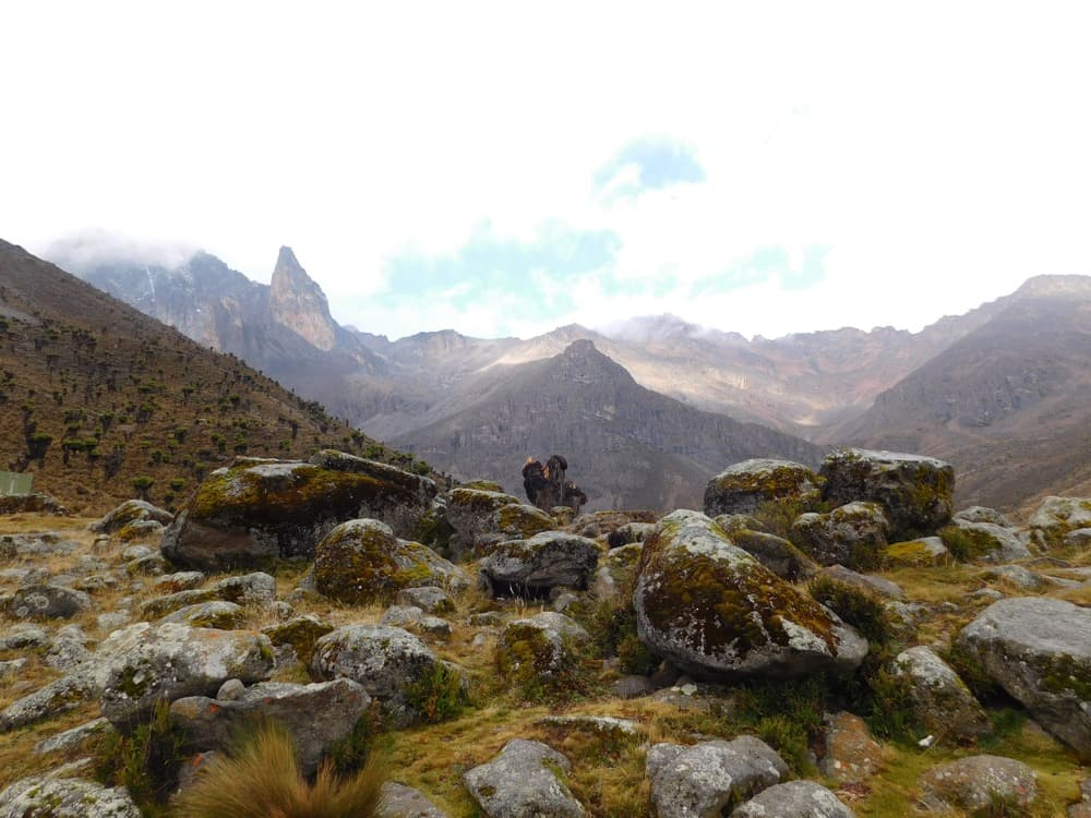 Mount Kenya Climb