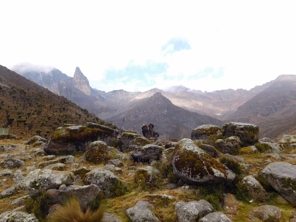 Mount Kenya Climb